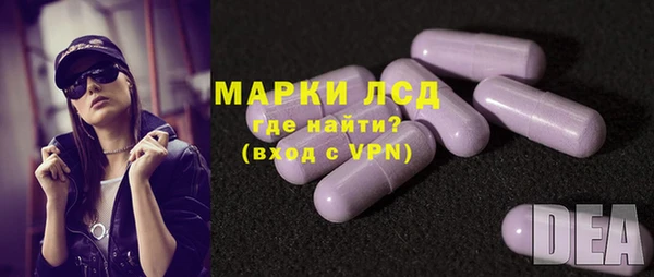 гашик Алексин