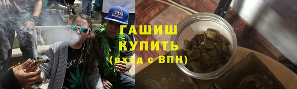 гашик Алексин