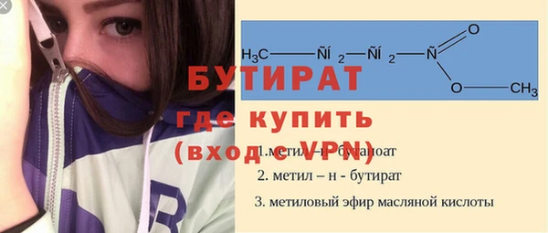 гашик Алексин