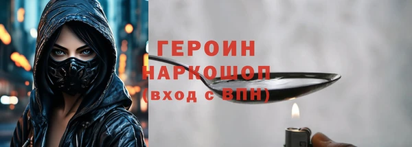 гашик Алексин