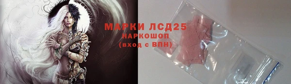 гашик Алексин