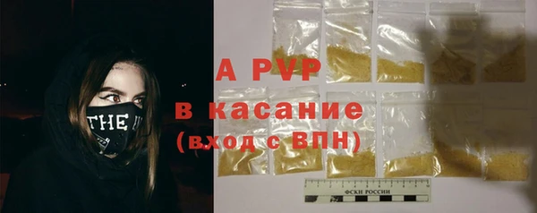 гашик Алексин