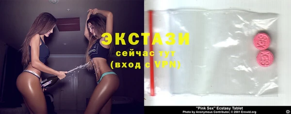 гашик Алексин