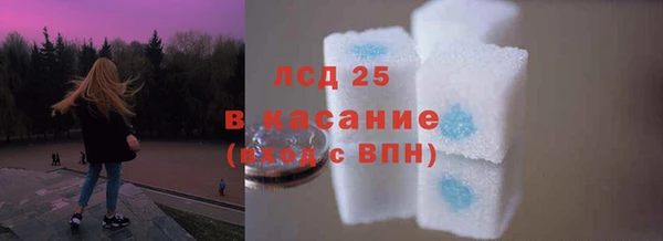 гашик Алексин