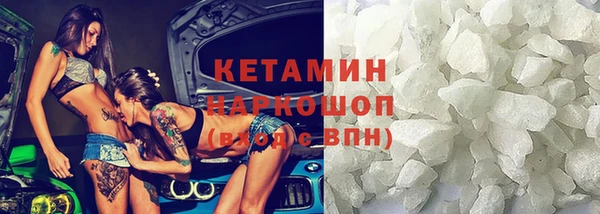 гашик Алексин