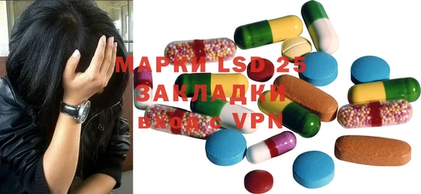 гашик Алексин