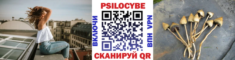 как найти закладки  Александровское  Галлюциногенные грибы прущие грибы 